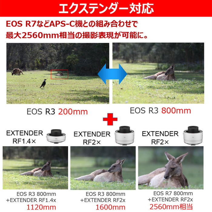 Canon RF200-800ISUSM RFレンズ RF200-800mm F6.3-9 IS USM