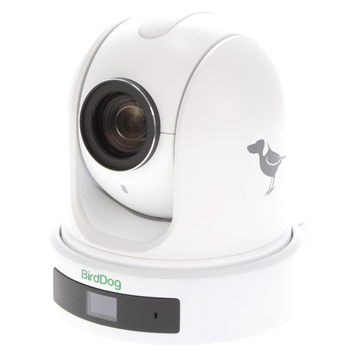 【秋セール2024】【中古品】BirdDog BDP110W BirdDog P110 (White)