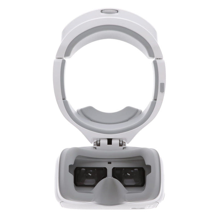 DJI Goggles